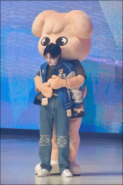 Quelle mascotte préfères-tu ?