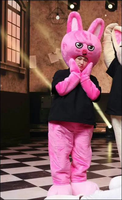 Les mascottes auraient-elles toutes leur propre caractère ?