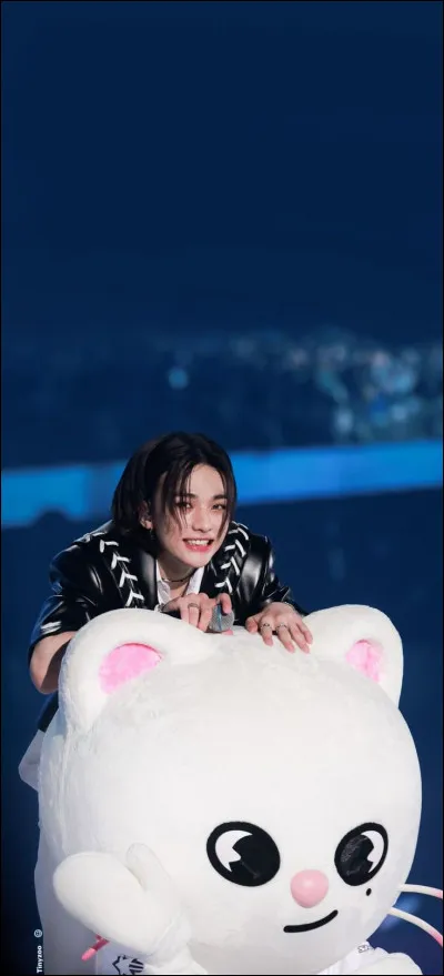 Aimes-tu les mascottes mignonnes ? (Comme celle de Hyunjin sur l'image)