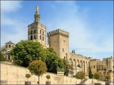 Je suis un palais inscrit au patrimoine mondial de l'UNESCO, lié au peintre italien Matteo Giovanetti, aux papes Benoît XII et Clément VI et à ce qu'on a appelé le Grand Schisme d'Occident. Que suis-je ?