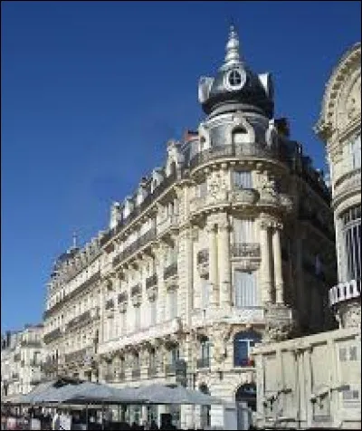 Quelle ville réunit tous ces éléments : Commerce des épices, la faculté de médecine, la capitale du Bas-Languedoc et le quartier Antigone ?