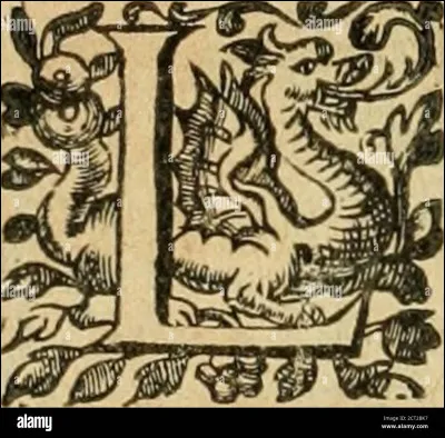 Tu te dirais plutôt...