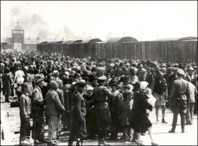 Combien de personnes ont été exterminées à Auschwitz ?