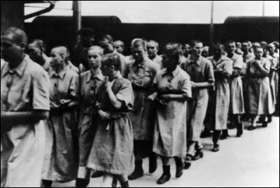 Comment les déportés étaient-ils identifiés à leur arrivée ?