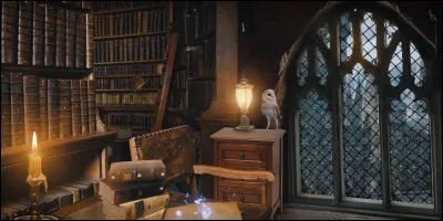 Quel livre vous attire le plus ?