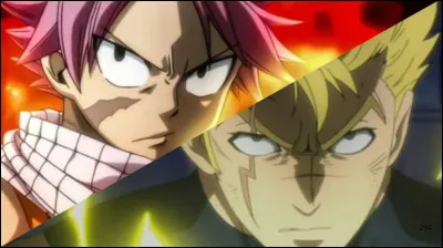 Lequel de ces 4 oiseaux préfères-tu ?