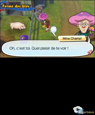 Quel est le nom des champignons que distribue Mme Champi, dans "Yo-kai Watch 3" ?