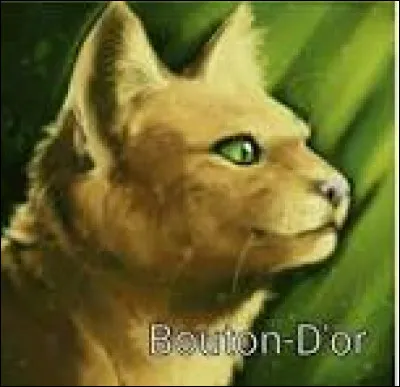 Est-ce que dans le guide illustré, elle a une place pour raconter quelque chose, ou non ?