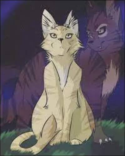 Vrai ou faux : Bouton d'Or était amoureuse de Griffe de Tigre.