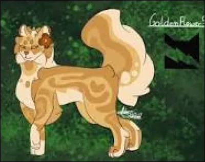 Alors, maintenant, qui était son mentor ?