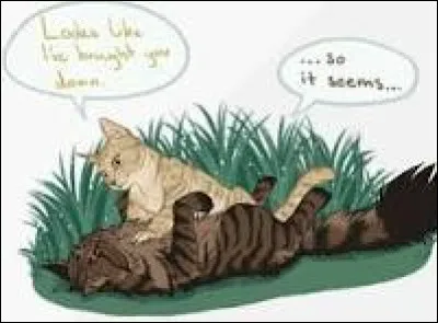 Qui sont ses chatons parmi ceux-ci ?