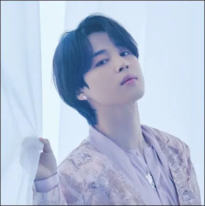 À quel meme appartient Jimin ?