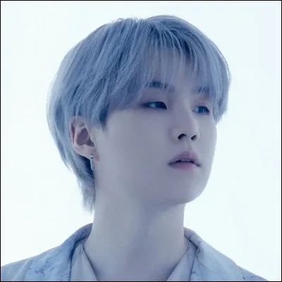 Quel est lautre nom de scène de Suga ?