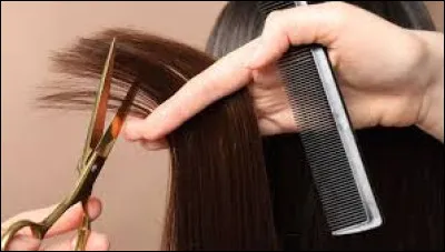 Que signifie l'expression "couper les cheveux en quatre" ?