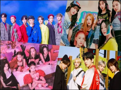 Quel rôle aimerais-tu avoir si tu faisais partie d'un groupe de K-pop ?