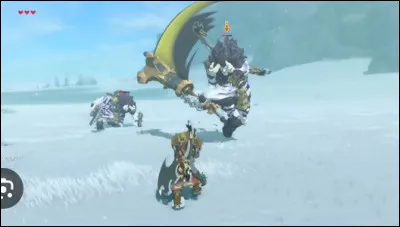 Tu es en train de jouer à ''Zelda'' quand tu tombes sur deux lynel d'or. Que fais-tu ?