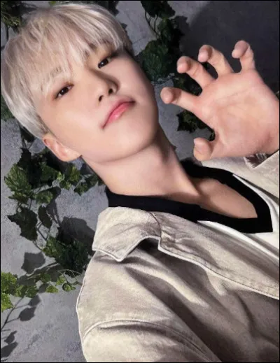 Qui est ce membre de Seventeen ?