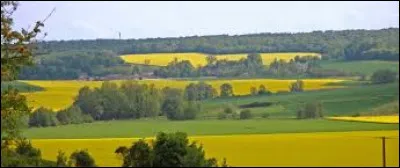 Quelle est cette région qui s'étend sur la moitié est du département aux limites de la Champagne et constitue une importante région agricole ?