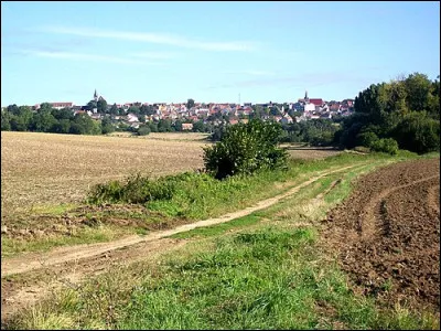 Quelle est cette petite région naturelle de prairies et de champs de céréales, située dans le nord-ouest du département ?