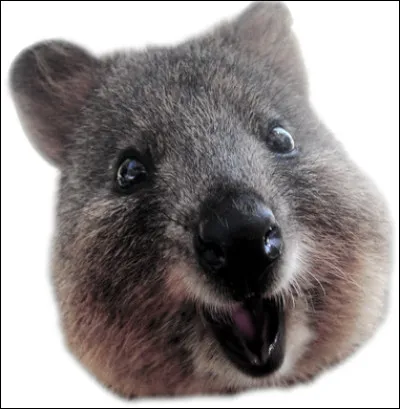 Portes-tu plus de trois jours d'affilée tes sous-vêtements ?