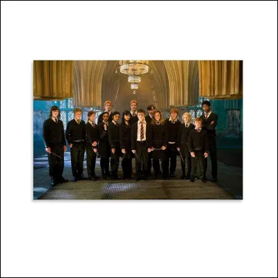 Qui a embrassé Harry dans la salle sur demande ?