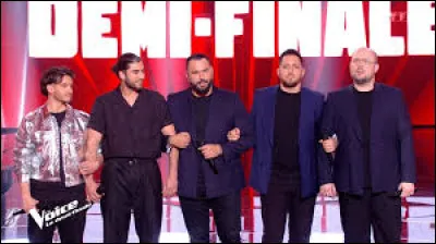 Quel instrument de musique Vianney a-t-il promis à Gaël lors de ses auditions à l'aveugle ?