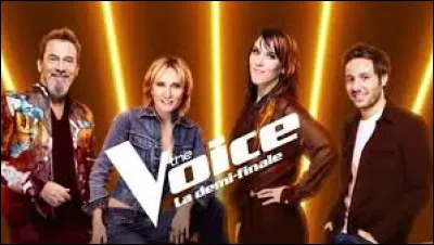 Quel candidat a interprété "Danser encore" de Calogero aux auditions à l'aveugle ?