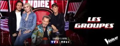 Quel coach Mickaël Gallo représente-t-il en finale de l'émission ?