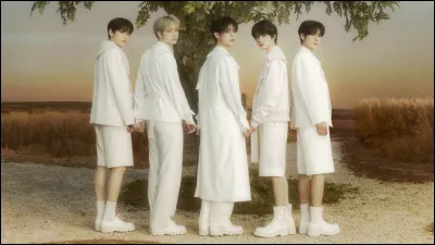 Et enfin, où se trouve leur lightstick ?