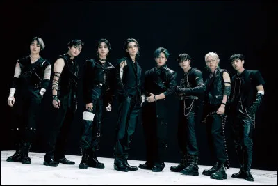 Combien de membre de Stray Kids sont australiens ?