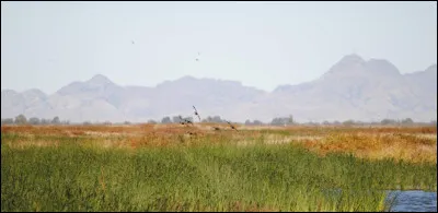 Quel est ton endroit préféré ?