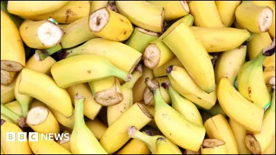 Quelle est la variété de banane la plus connue et la plus exportée à l'échelle mondiale ?
