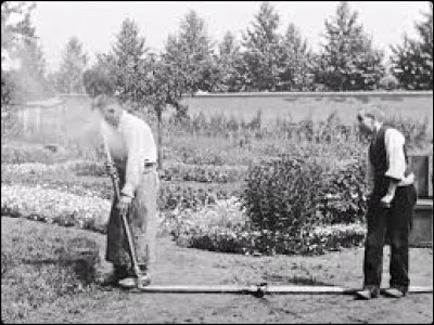 Le titre d'un des premiers films réalisés par Louis Lumière, c'est ...