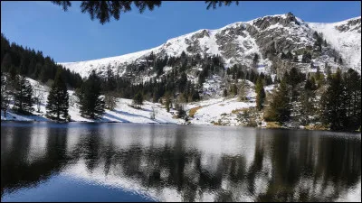 Dans quelle ville se trouve la place des Vosges ?