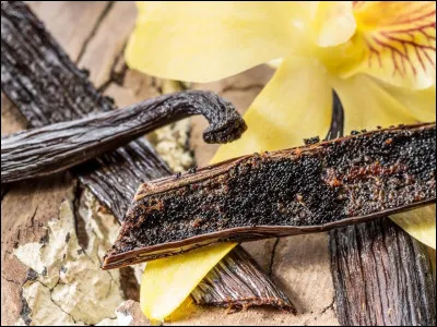 Quelle est la gousse de vanille la plus rare ?