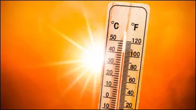 Pendant la préparation, les gousses de vanille sont séchées pendant plusieurs heures chaque jour. À votre avis, quelle est la température du four ?