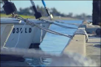 Elles retiennent le navire à quai :