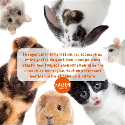 Quel est ton animal préféré ?