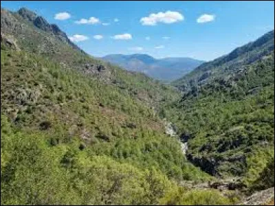 Quel est ce cours d'eau, long de 88 km, qui prend sa source au-dessus du lac de Nino à 1 743 mètres d'altitude et se jette dans la mer Tyrrhénienne près d'Aléria ?
