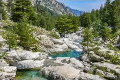 Quelle est cette vallée, formée par un torrent affluent du Tavignano, et dont les gorges sont un lieu d'excursions et de randonnées ?