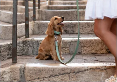 Vous aimez les balades en étant...