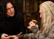 Quiz Dumbledore, Rogue ou aucun ?
