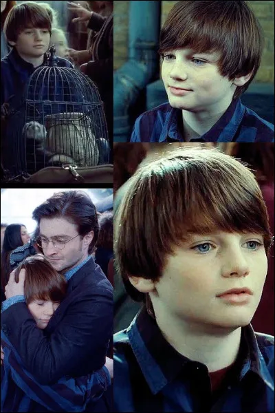 Qui a donné son prénom au 2e fils de Harry ?