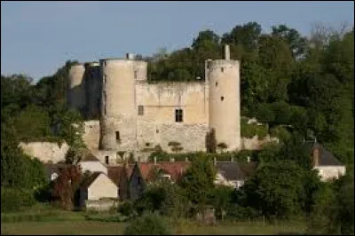Nous terminons notre promenade au château de Villentrois. Ancienne commune Indrienne, elle se situe en région ...