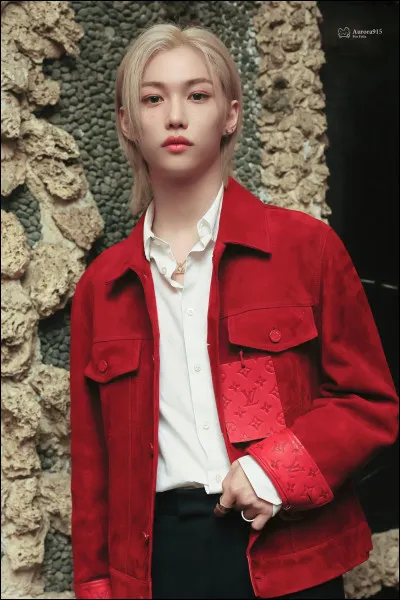 Merci d'avoir fait mon test, j'espère qu'il t'a plu et que tu as répondu honnêtement. Maintenant, dernière question.
Aimes-tu la marque Louis Vuitton ?
(Même si tu n'as pas d'objets de cette marque.)