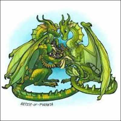 O : Je suis la sur de celui qui devait épouser Droséra.