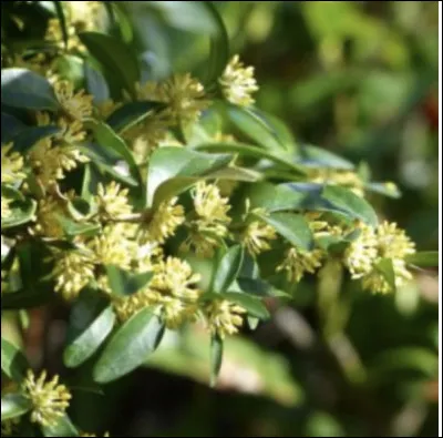 Mais alors elle, comment s'appelle-t-elle ?