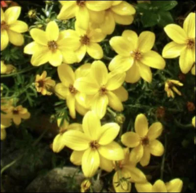 Et celle-ci s'appelle...