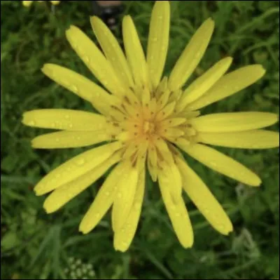 Et elle alors, quel est son nom ?