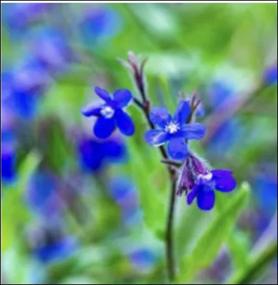 Et elle, quel est son nom ?